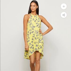 BCBGMAXAZRIA Women's Vivienne Sleeveless Halter hi-Lo Dress